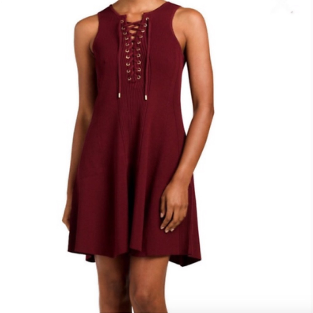 Torn by Ronny Kobo Knit Lace Front Mini Dress
